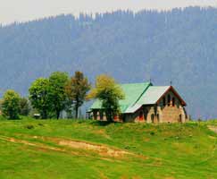 Patnitop Honeymoon Tour