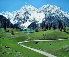 Package Tour To Patnitop