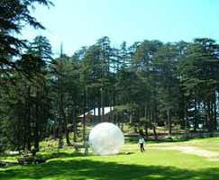 Patnitop Honeymoon
