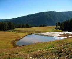 Patnitop Holiday Package