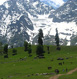 Patnitop Tour Packages